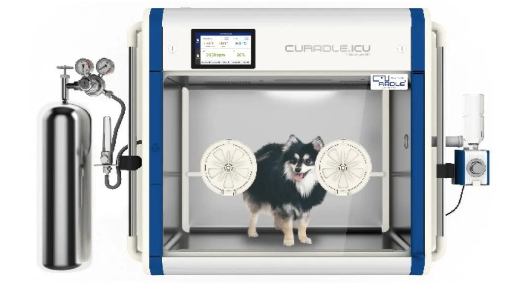 Yoğun Bakım - Hasta Yatış