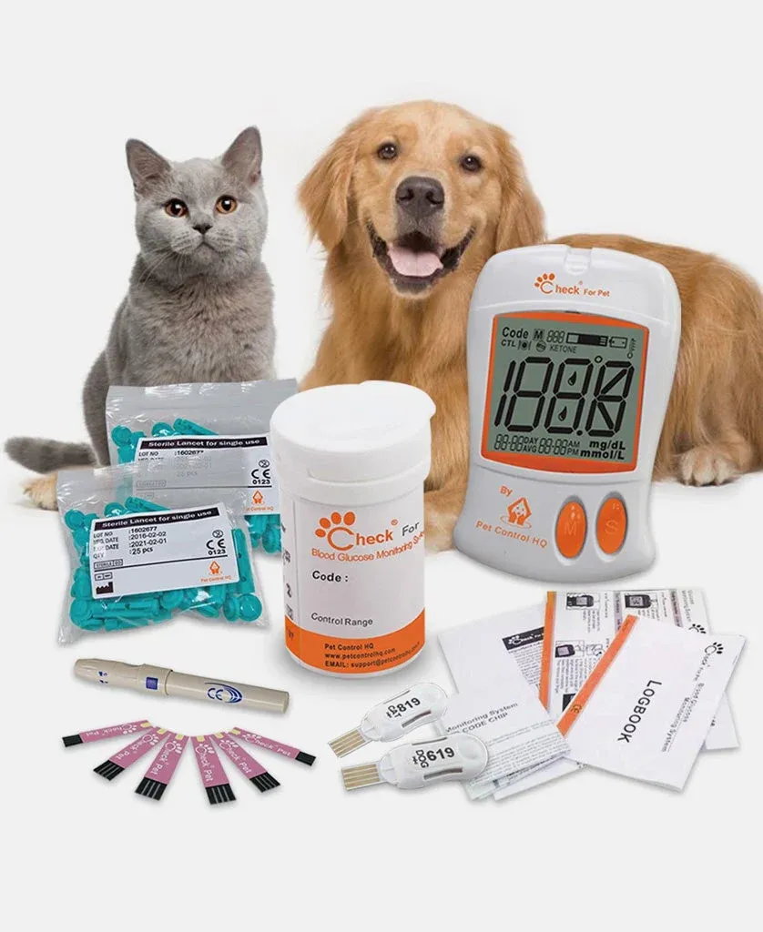 Kan Şeker Ölçümü